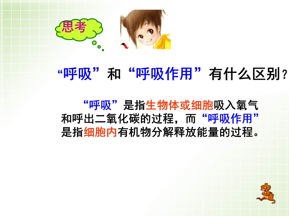 高三复习光合作用呼吸作用.ppt_第2页