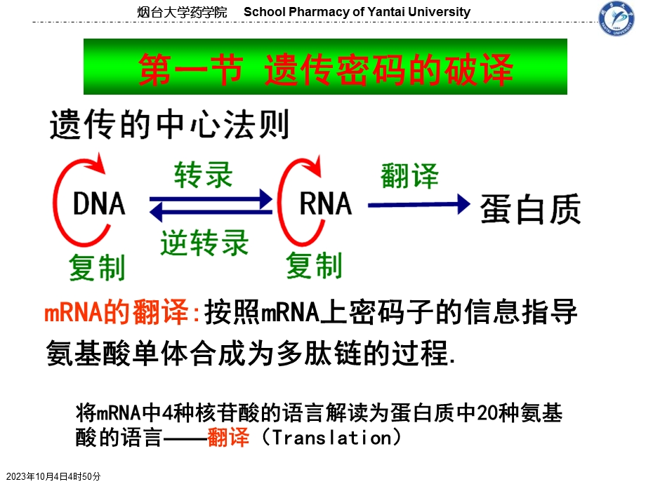 蛋白质生物合成及加工.ppt_第2页