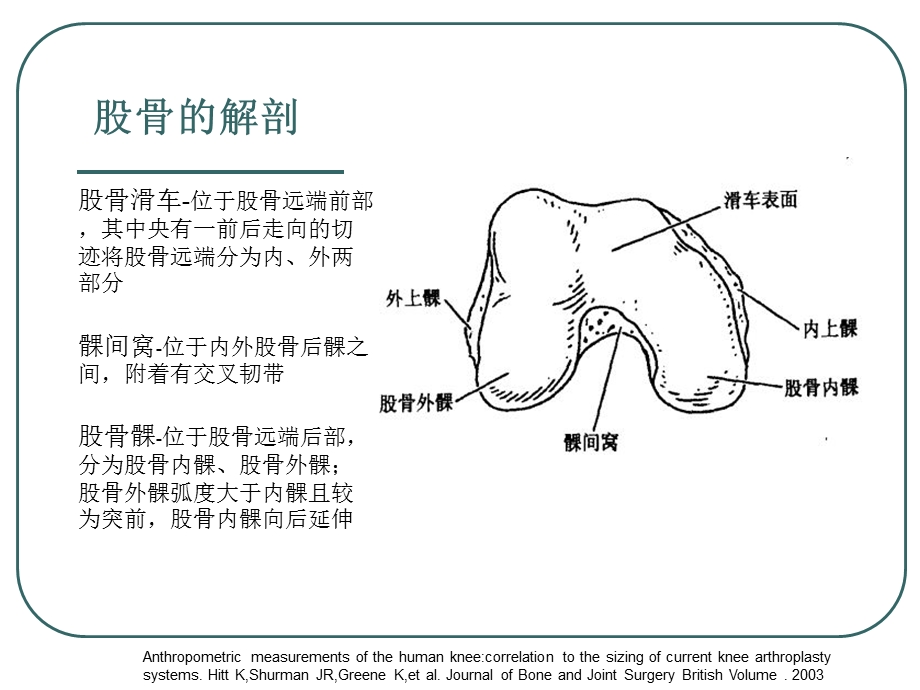 髌股关节生物力学浅识.ppt_第3页