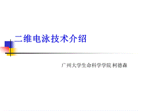 二维电泳技术介绍.ppt