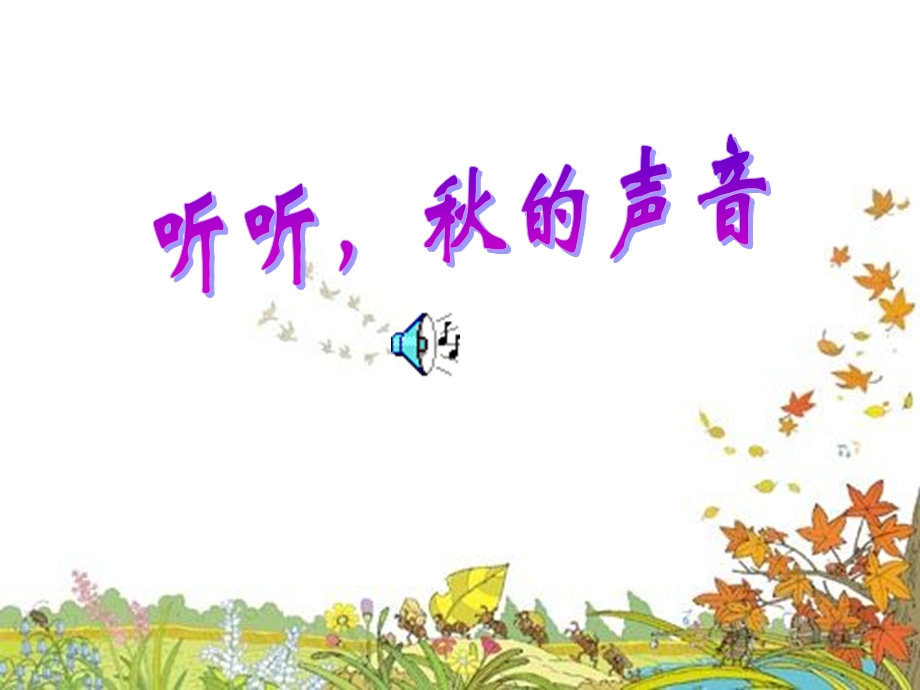 12听听的声音.ppt_第2页