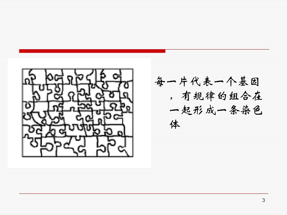 单基因病致病基因的鉴定.ppt_第3页