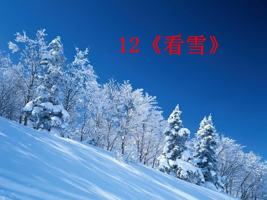 12看雪211.ppt_第2页