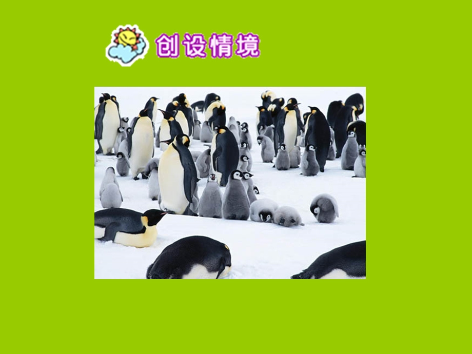 10企鹅爸爸.ppt_第3页