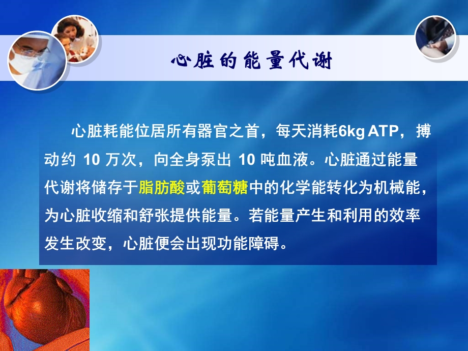 心力衰竭心肌细胞能量代谢及干预机制会议课件教学幻灯PPT.ppt_第2页