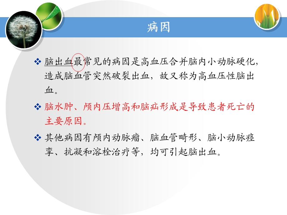 高血压脑出血的急救与护理.ppt_第3页