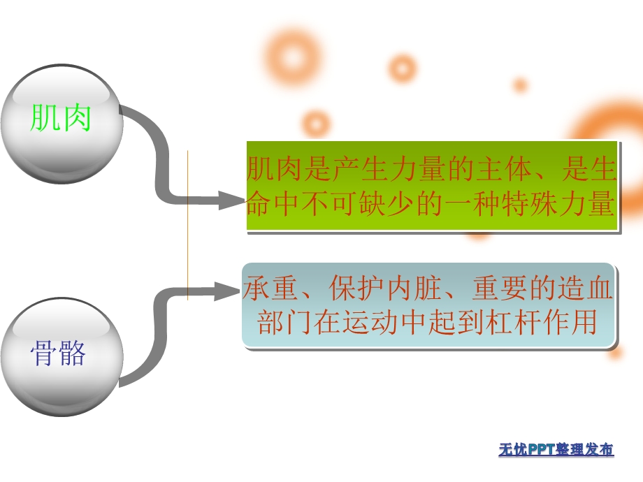 康复体操预防治疗颈肩腰腿痛 ppt课件.ppt_第2页