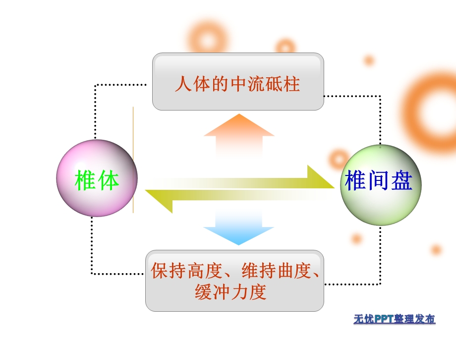 康复体操预防治疗颈肩腰腿痛 ppt课件.ppt_第3页