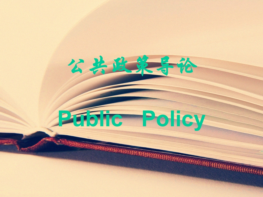 公共政策导论PublicPolicy.ppt_第1页