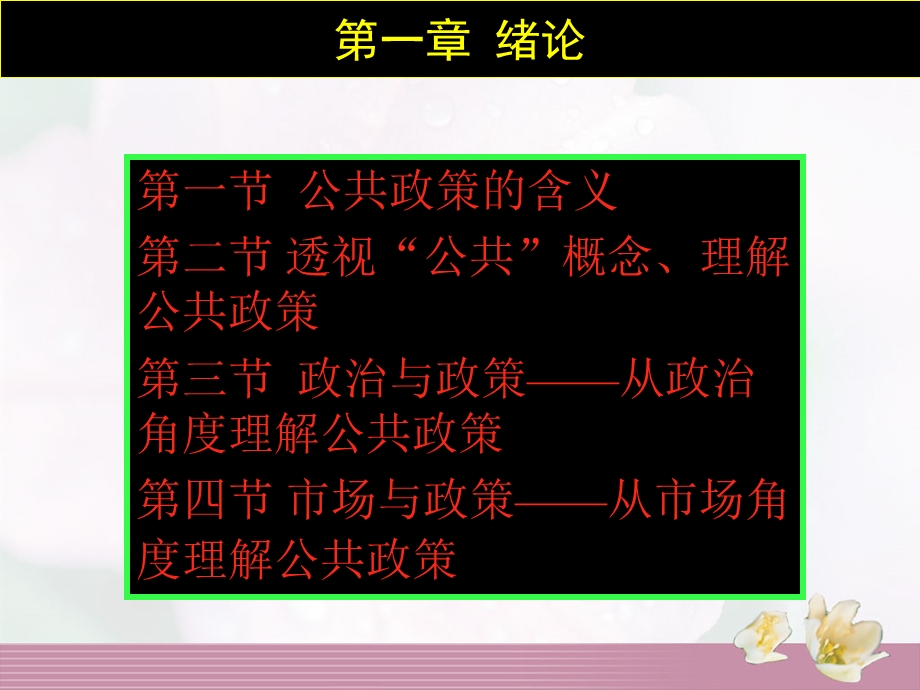 公共政策导论PublicPolicy.ppt_第2页