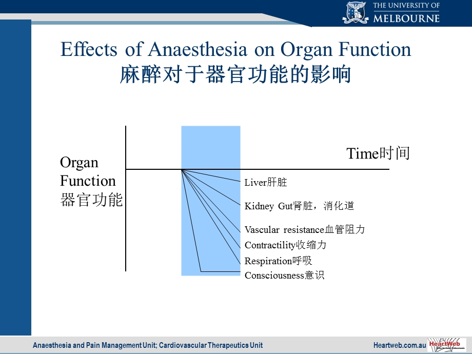 麻醉与器官保护.ppt_第2页