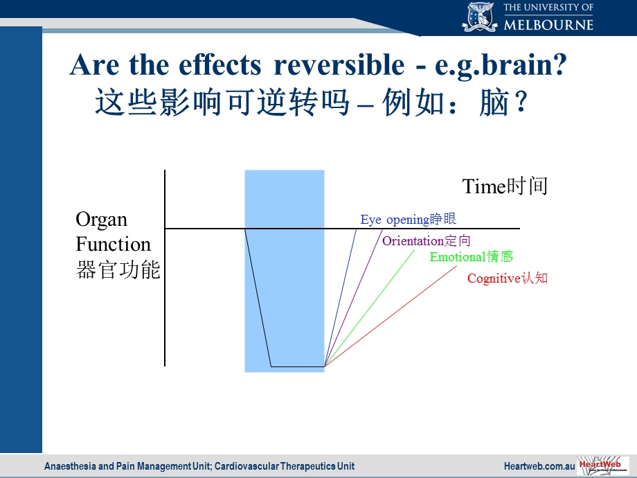 麻醉与器官保护.ppt_第3页