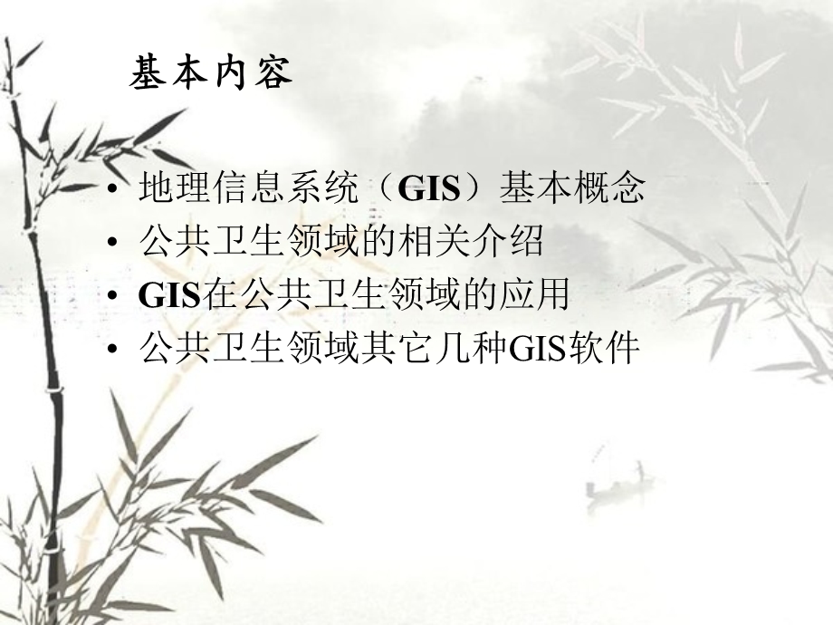 GIS与公共卫生.ppt_第2页