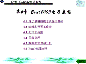 [电脑基础知识]第4章Excel2003电子表格.ppt