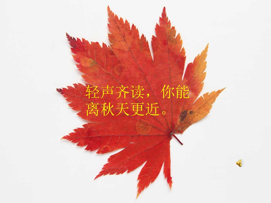 听听,的声音教学课件.ppt_第3页