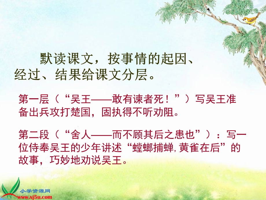 10螳螂捕蝉课件.ppt_第3页