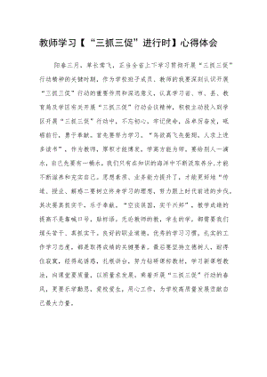 （共三篇）教师学习【“三抓三促”进行时】心得体会.docx