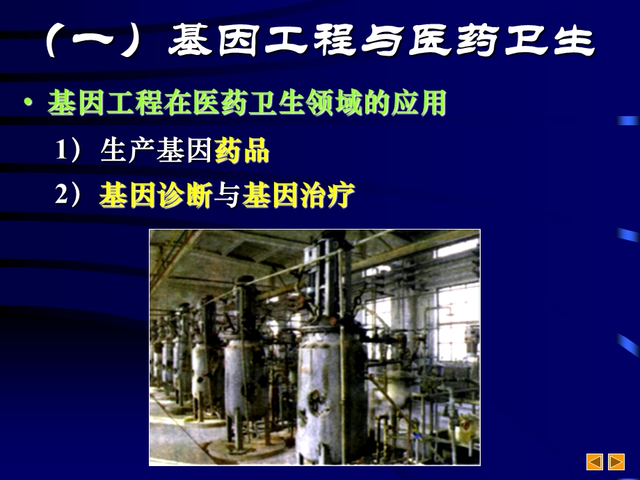 基因工程的成果.ppt_第3页