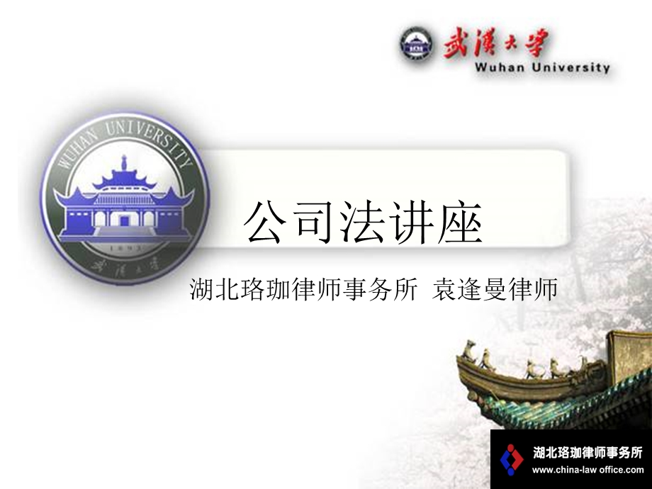 公司法讲座资料.ppt_第1页