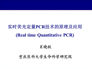 实时荧光定量PCR.ppt