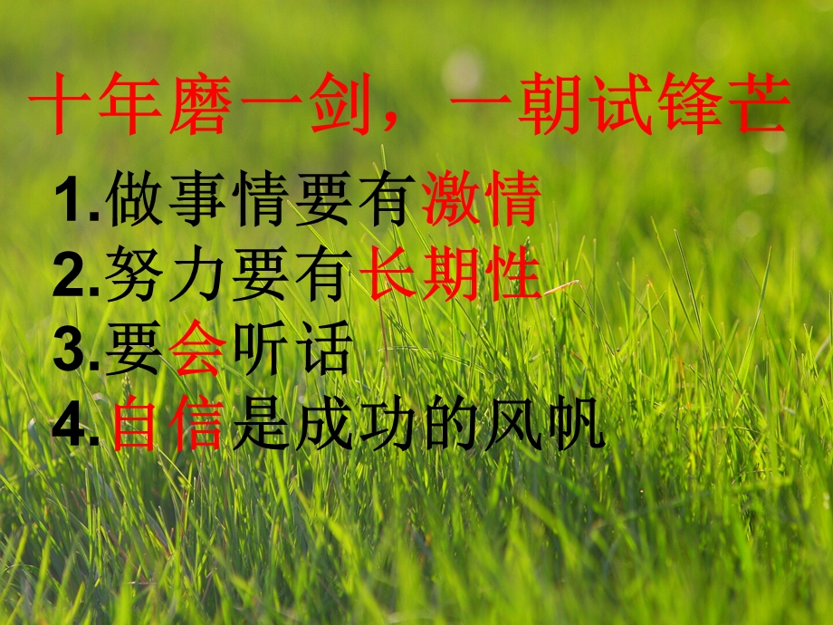 十年磨一剑一朝是锋芒.ppt_第2页