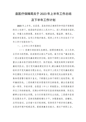 县医疗保障局关于2023年上半年工作总结及下半年工作计划.docx