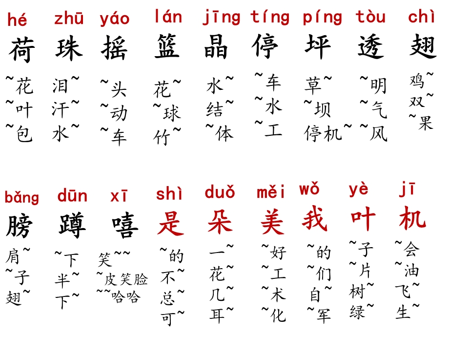 14荷叶圆圆ppt课件.ppt_第3页