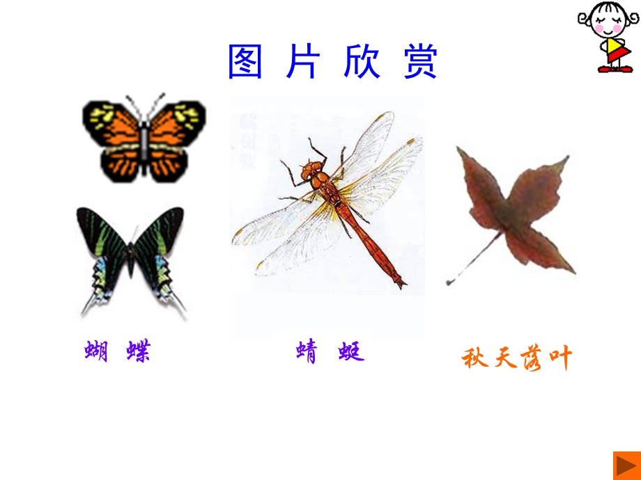 图案美-对称狮子行小学.ppt_第3页