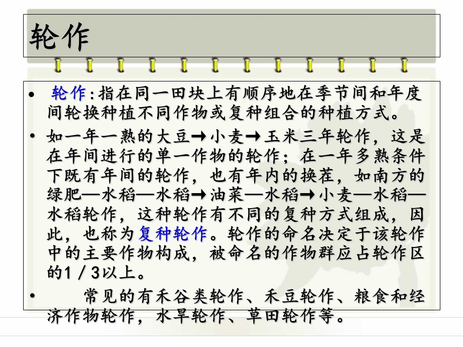 大豆的种植方式.ppt_第2页