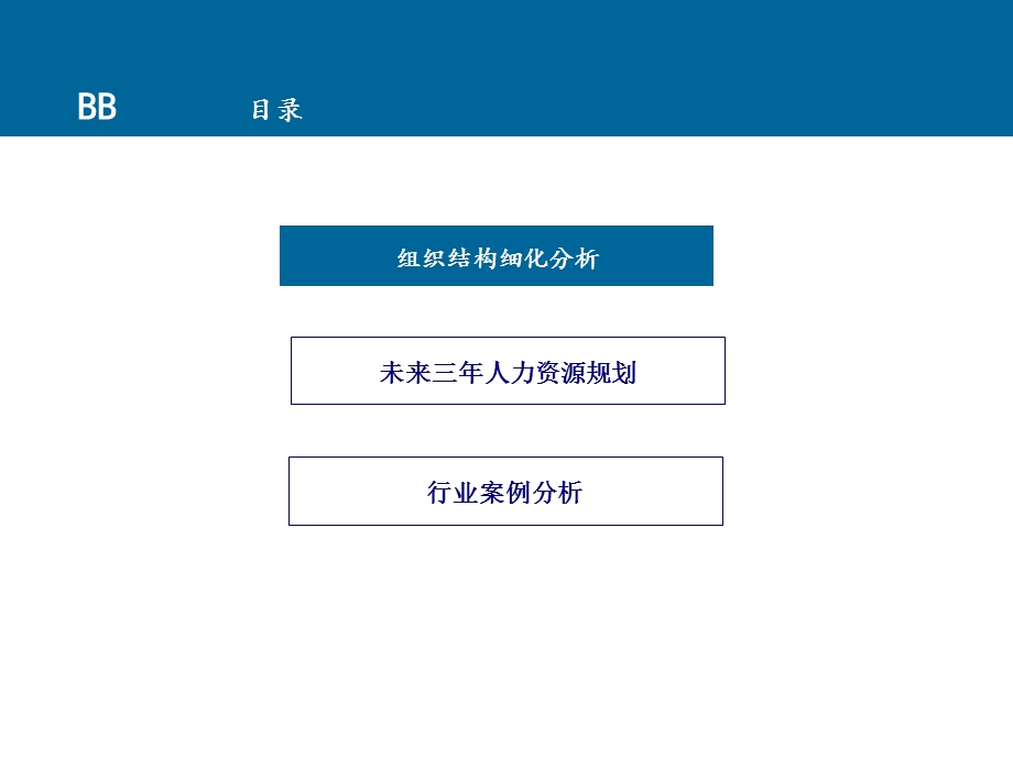 地产公司规划资料.ppt_第2页