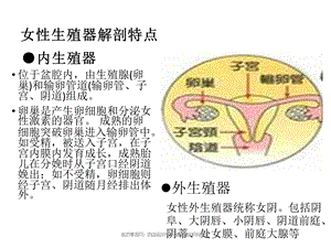 妇科课件(适合新员工).ppt