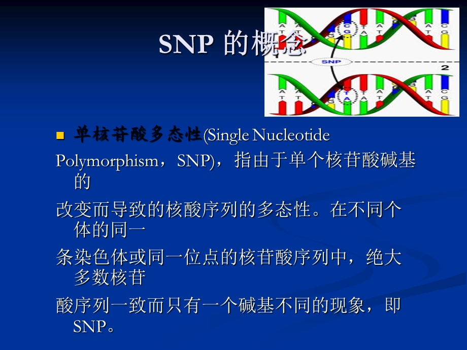 单核苷酸多态性SNP检测技术.ppt_第3页