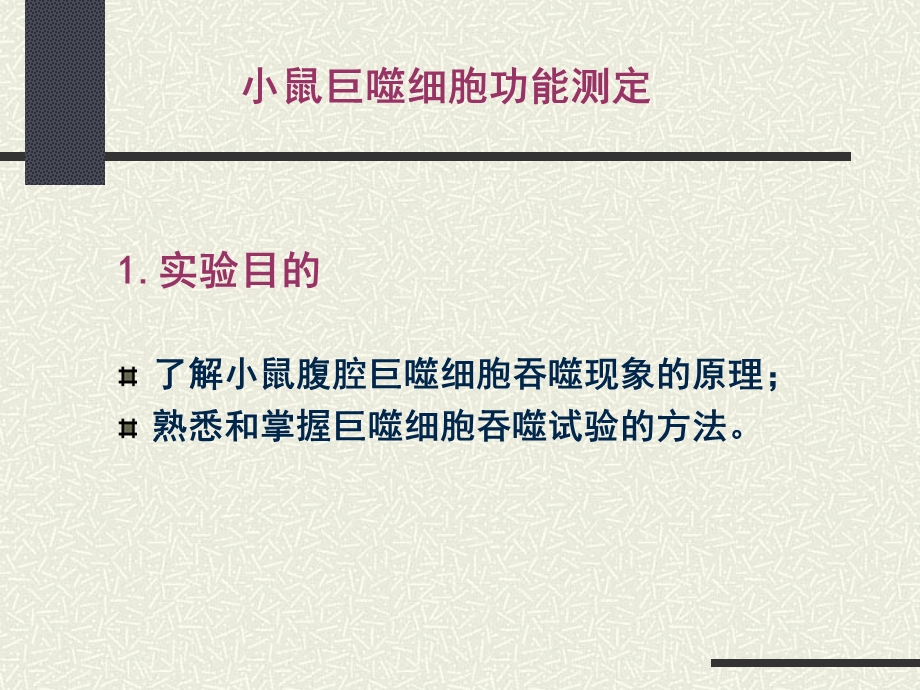 小鼠巨噬细胞功能测定.ppt_第1页