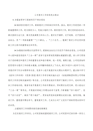 公司意识工作经验亮点做法.docx