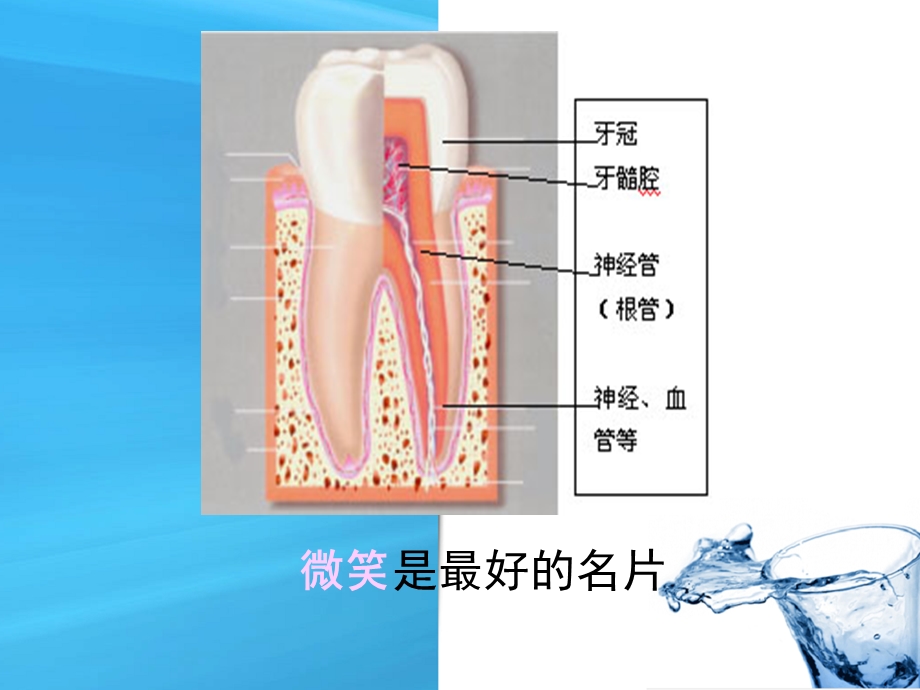 口腔保健知识讲座 (2).ppt_第2页