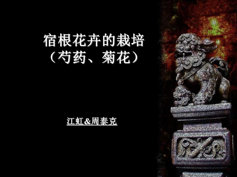 宿根花卉的栽培.ppt_第1页