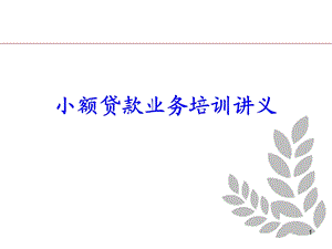 小额贷款知识培训.ppt