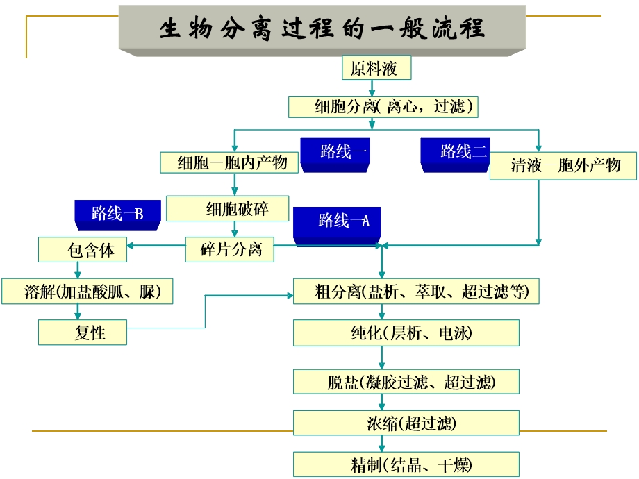 发酵液预处理与固液分离.ppt_第2页