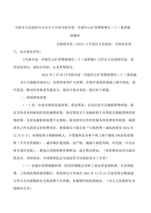 乌海市人民政府办公室关于印发乌海市进一步提信心扩消费稳增长二十三条措施的通知.docx