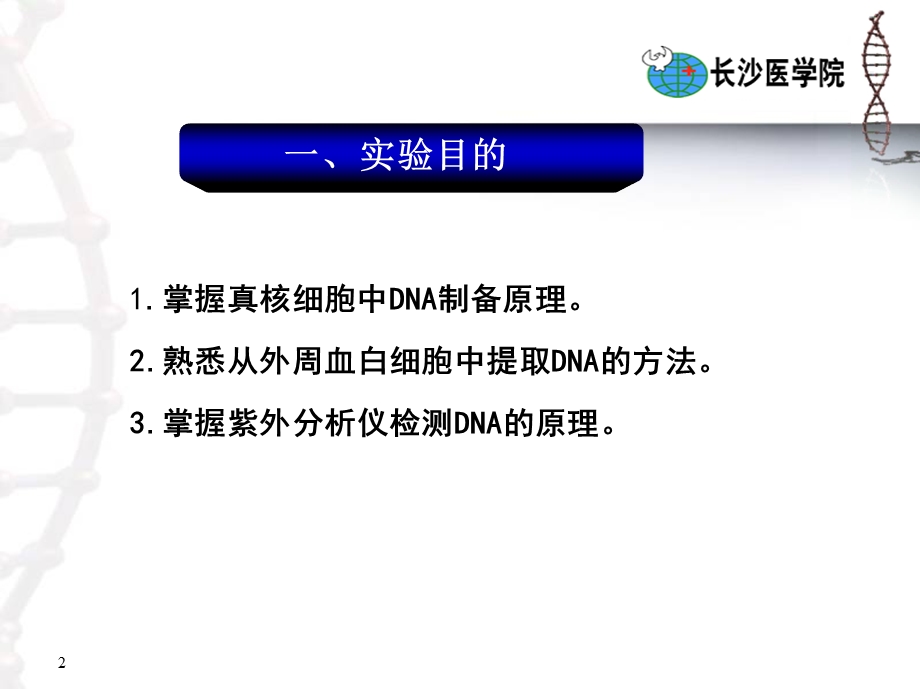 外周血白细胞中DNA提取与检测.ppt_第2页