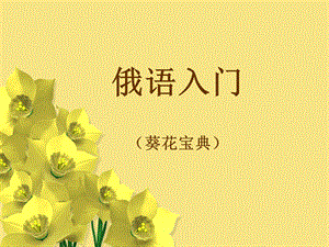 俄语入门(葵花宝典).ppt