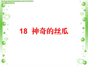 18神奇的丝瓜.ppt