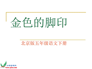 北京版语文五年级下册《金色的脚印》PPT课件之二.ppt