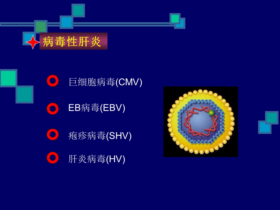 乙肝两对半检测的意义穆仁懋.ppt_第3页