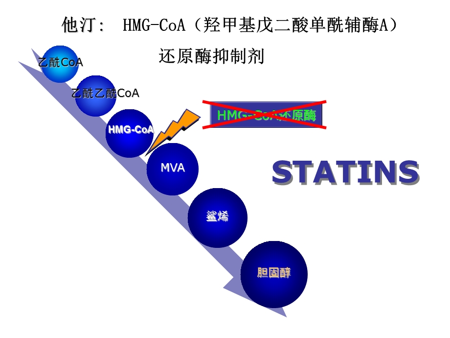 他汀类药物临床应用及安全性.ppt_第3页