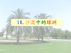 18、沙漠中的绿洲.ppt