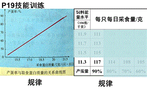 《生物的遗传和变异》PPT课件.ppt