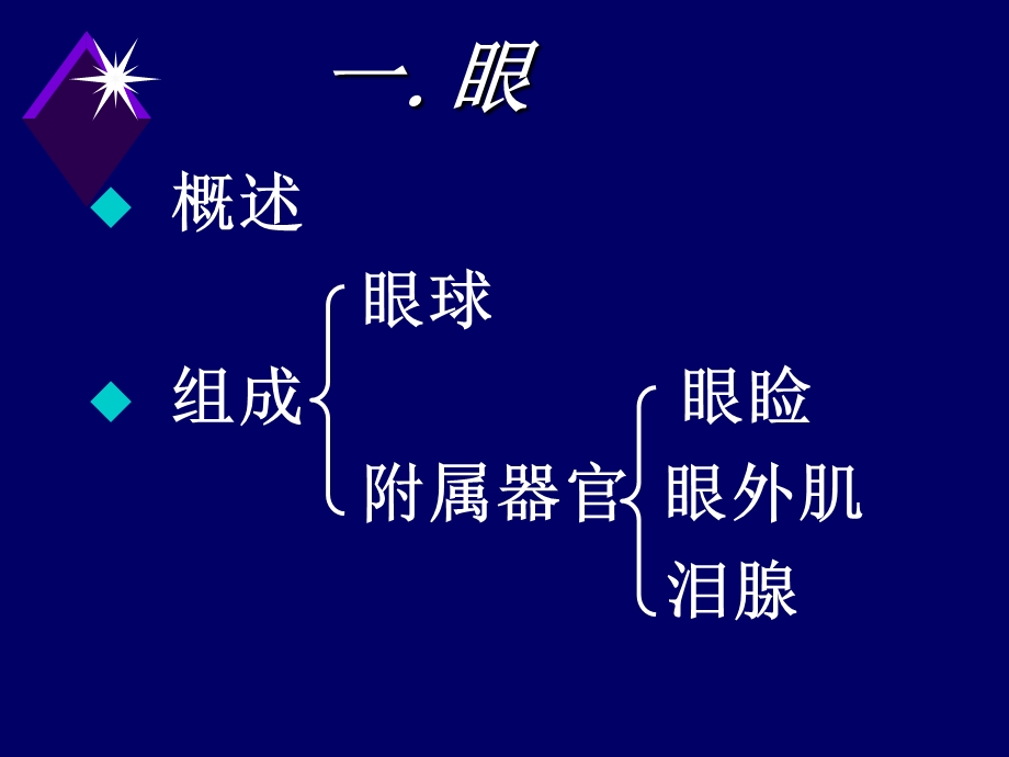 《感觉器官》PPT课件.ppt_第2页