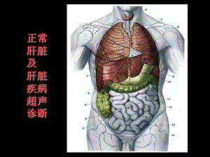 《肝脏超声诊断》PPT课件.ppt