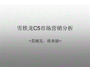 雪铁龙C5市场营销分析.ppt